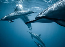 乐鱼电竞-kaiyun的云端之旅：把日常变成可持续的光